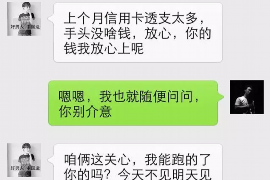 嘉善融资清欠服务